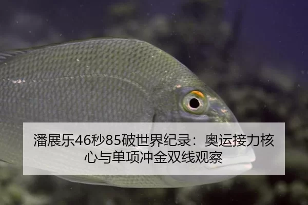 潘展乐46秒85破世界纪录：奥运接力核心与单项冲金双线观察（hth）